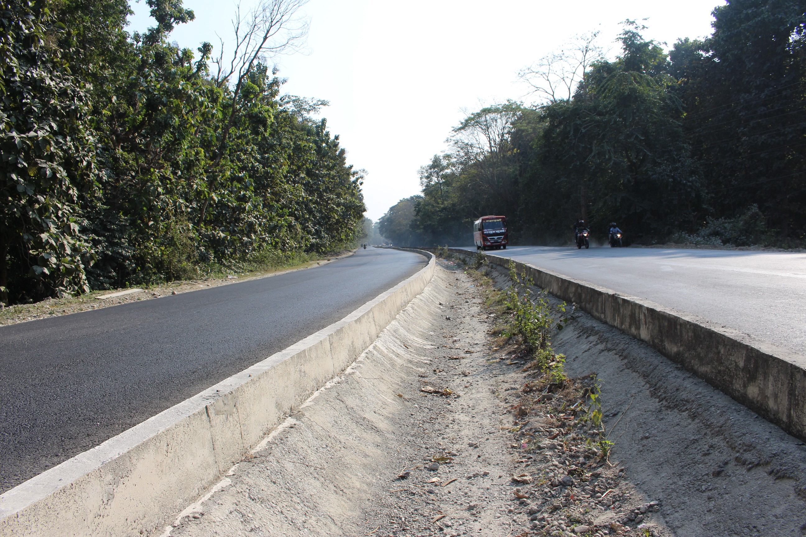 rani-kimangthanka (4).JPG